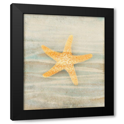 Gypsy Star 1 Black Modern Wood Framed Art Print by LightBoxJournal