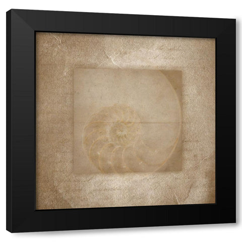 Sea Life 2 Black Modern Wood Framed Art Print with Double Matting by LightBoxJournal