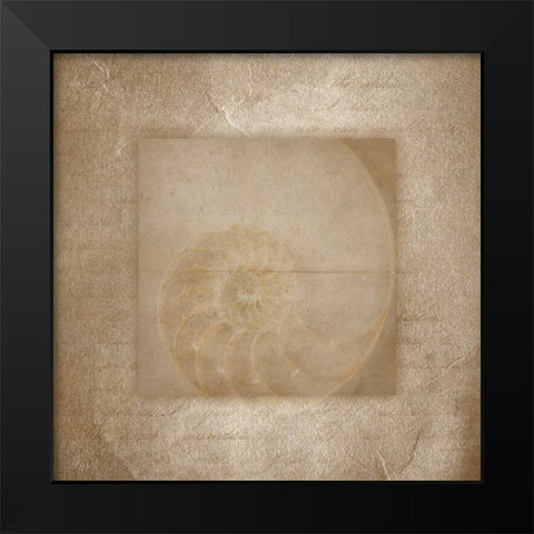 Sea Life 2 Black Modern Wood Framed Art Print by LightBoxJournal