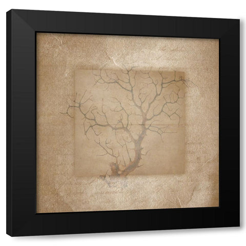 Sea Life 3 Black Modern Wood Framed Art Print by LightBoxJournal