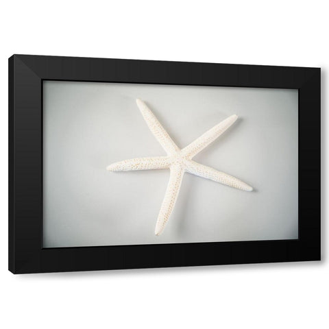 Sea Star 1 Black Modern Wood Framed Art Print with Double Matting by LightBoxJournal
