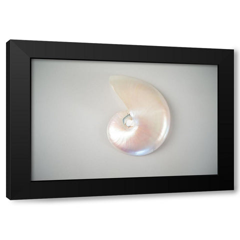 Sea Star 3 Black Modern Wood Framed Art Print with Double Matting by LightBoxJournal