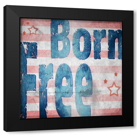 American Born Free Sign Collection 1 Black Modern Wood Framed Art Print with Double Matting by LightBoxJournal