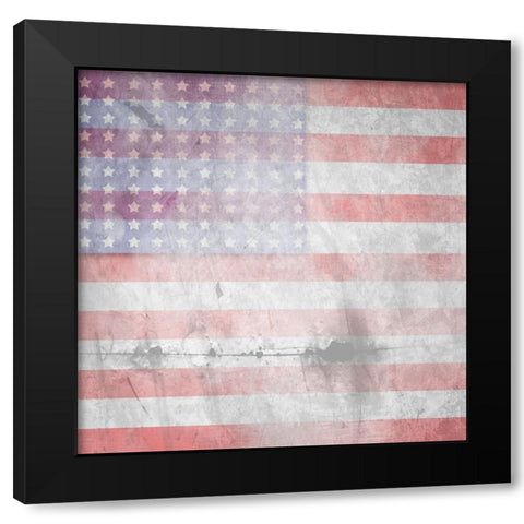 American Born Free Sign Collection V7 Black Modern Wood Framed Art Print with Double Matting by LightBoxJournal