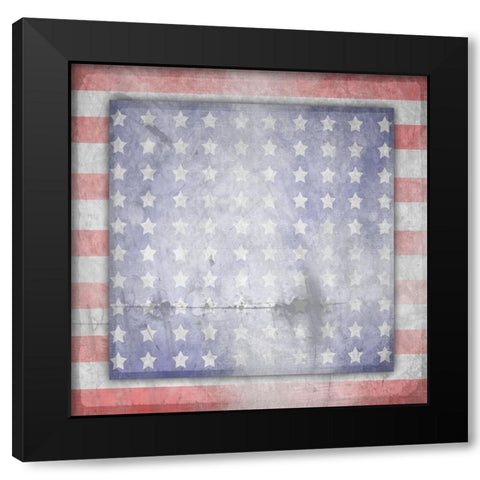 American Born Free Sign Collection V14 Black Modern Wood Framed Art Print with Double Matting by LightBoxJournal