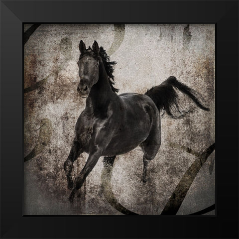 GypsyHorse Collection V1 3 Black Modern Wood Framed Art Print by LightBoxJournal