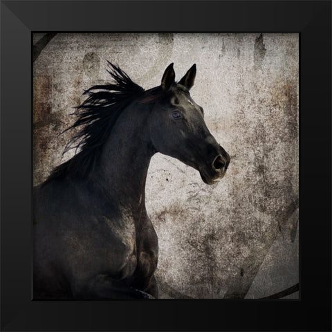 GypsyHorse Collection V1 4 Black Modern Wood Framed Art Print by LightBoxJournal