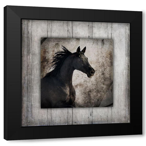 GypsyHorse Collection V1 5 Black Modern Wood Framed Art Print with Double Matting by LightBoxJournal