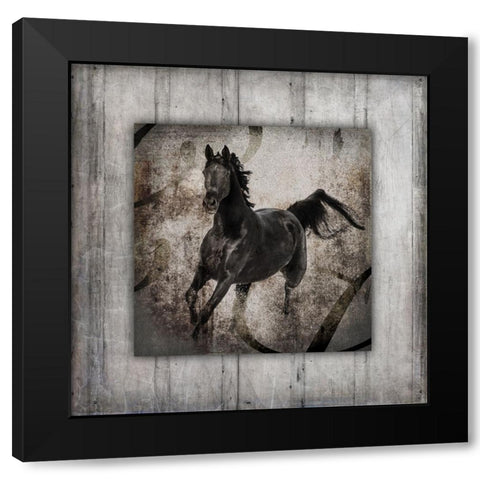 GypsyHorse Collection V1 6 Black Modern Wood Framed Art Print by LightBoxJournal