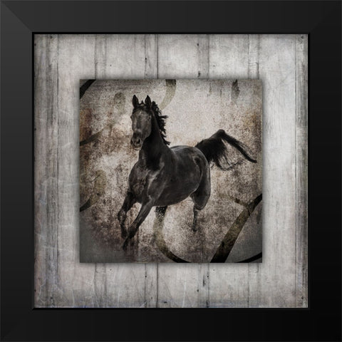 GypsyHorse Collection V1 6 Black Modern Wood Framed Art Print by LightBoxJournal