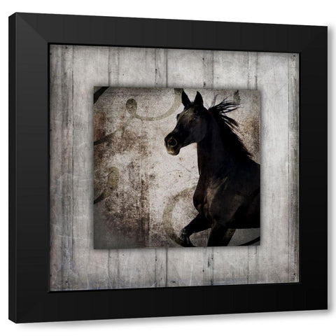 GypsyHorse Collection V1 8 Black Modern Wood Framed Art Print with Double Matting by LightBoxJournal