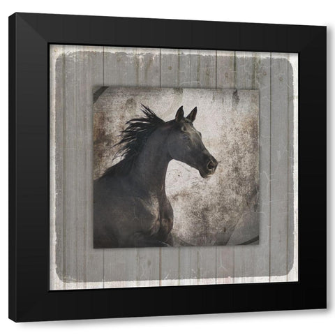 GypsyHorse Collection V1 10 Black Modern Wood Framed Art Print by LightBoxJournal