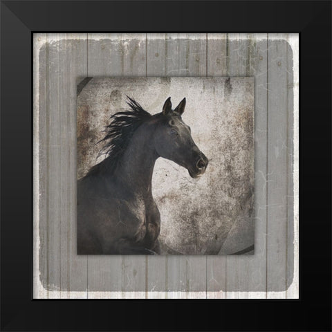 GypsyHorse Collection V1 10 Black Modern Wood Framed Art Print by LightBoxJournal