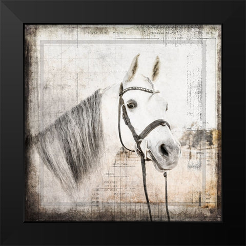 MyFarmMyWay V6 6 Black Modern Wood Framed Art Print by LightBoxJournal