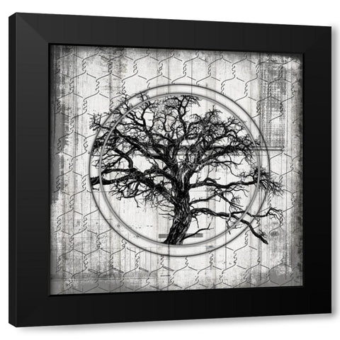 MyFarmMyWay V8 V1 Black Modern Wood Framed Art Print with Double Matting by LightBoxJournal