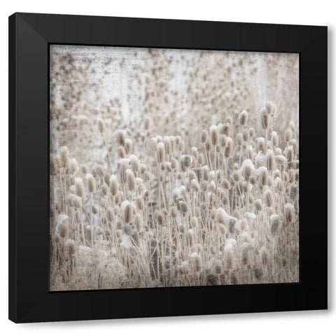 MyFarmMyWayPhotos 2 Black Modern Wood Framed Art Print by LightBoxJournal