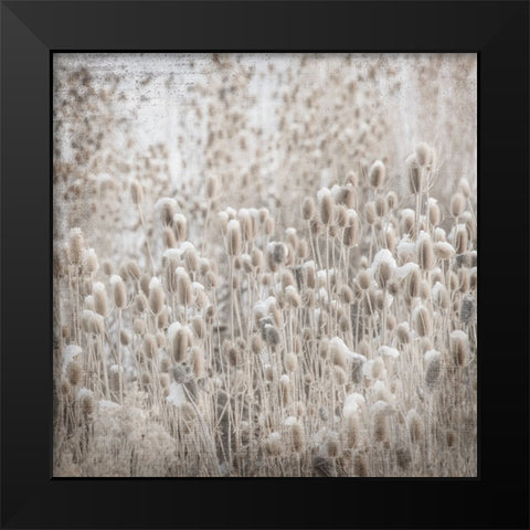 MyFarmMyWayPhotos 2 Black Modern Wood Framed Art Print by LightBoxJournal
