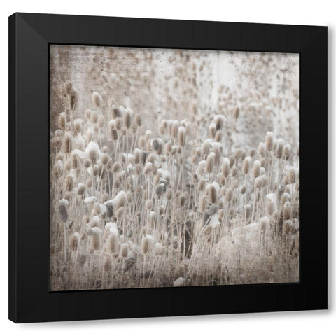 MyFarmMyWayPhotos 3 Black Modern Wood Framed Art Print by LightBoxJournal