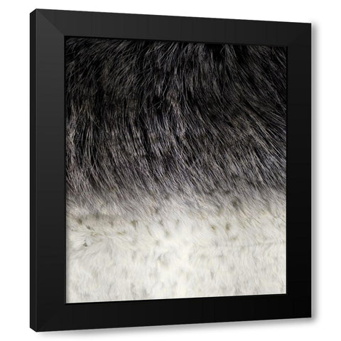 Animal_SurfacePattern V1 4 Black Modern Wood Framed Art Print with Double Matting by LightBoxJournal