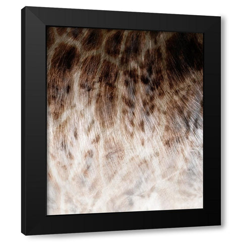 Animal_SurfacePattern V1 9 Black Modern Wood Framed Art Print with Double Matting by LightBoxJournal