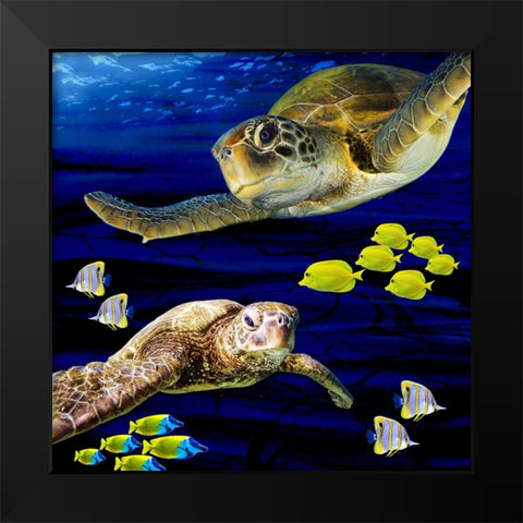 Sea Creatures_Turtle 2 Black Modern Wood Framed Art Print by LightBoxJournal