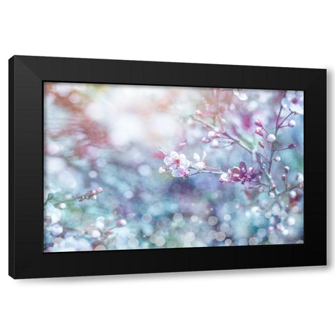 Cherry Blu 02 Black Modern Wood Framed Art Print with Double Matting by LightBoxJournal