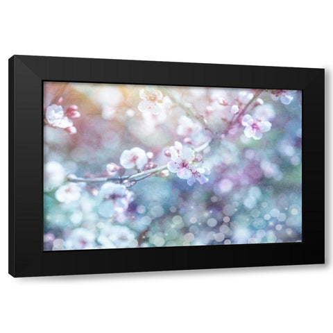 Cherry Blu 05 Black Modern Wood Framed Art Print with Double Matting by LightBoxJournal