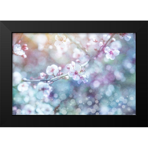 Cherry Blu 05 Black Modern Wood Framed Art Print by LightBoxJournal