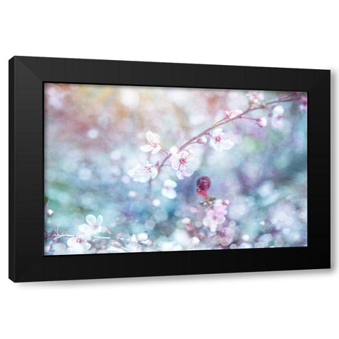 Cherry Blu 06 Black Modern Wood Framed Art Print with Double Matting by LightBoxJournal