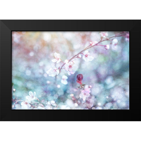 Cherry Blu 06 Black Modern Wood Framed Art Print by LightBoxJournal