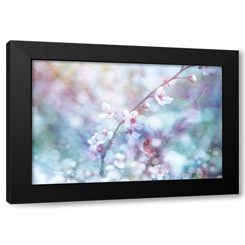 Cherry Blu 08 Black Modern Wood Framed Art Print with Double Matting by LightBoxJournal