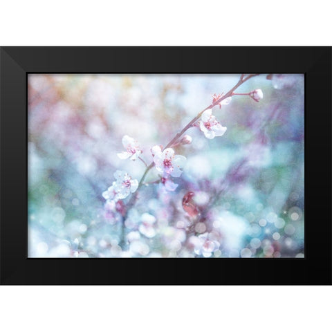 Cherry Blu 08 Black Modern Wood Framed Art Print by LightBoxJournal