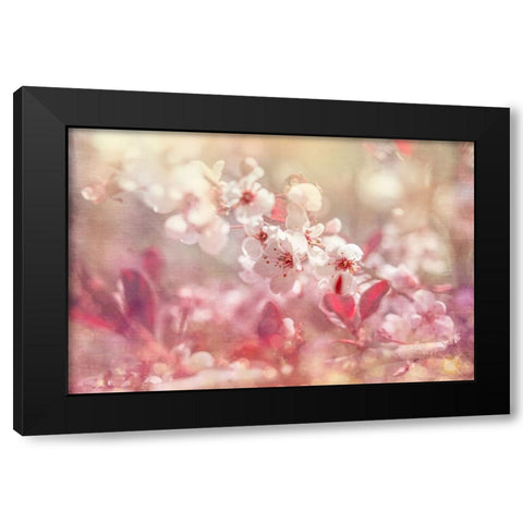 Gypsy Cherry 02 Black Modern Wood Framed Art Print by LightBoxJournal