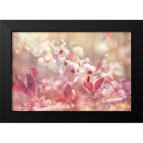 Gypsy Cherry 02 Black Modern Wood Framed Art Print by LightBoxJournal