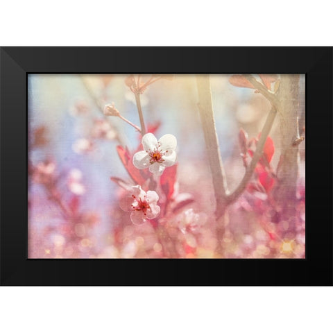 Gypsy Cherry 03 Black Modern Wood Framed Art Print by LightBoxJournal