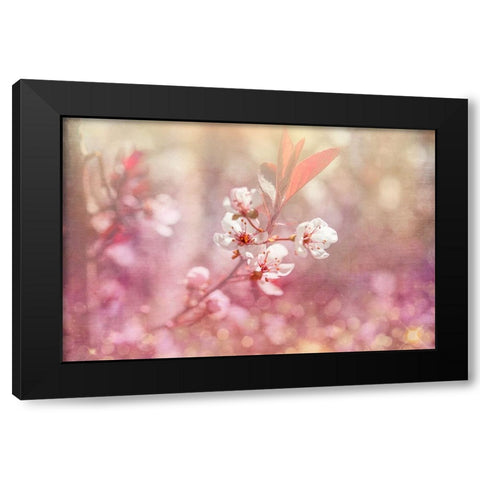 Gypsy Cherry 04 Black Modern Wood Framed Art Print by LightBoxJournal