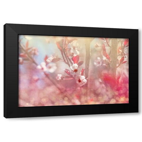 Gypsy Cherry 05 Black Modern Wood Framed Art Print by LightBoxJournal