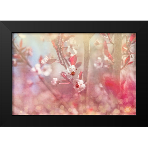 Gypsy Cherry 05 Black Modern Wood Framed Art Print by LightBoxJournal