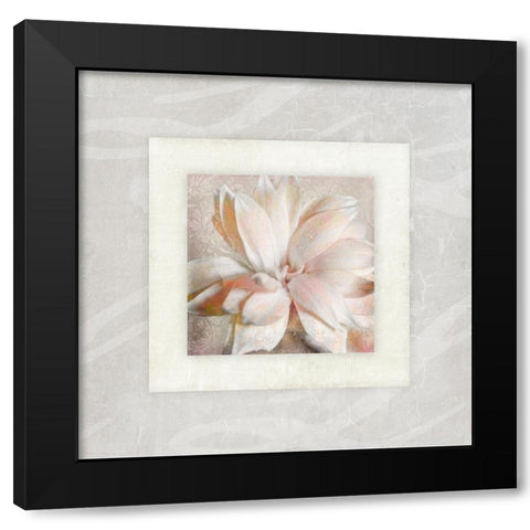 Pink Ivory Portrait 01 Black Modern Wood Framed Art Print with Double Matting by LightBoxJournal