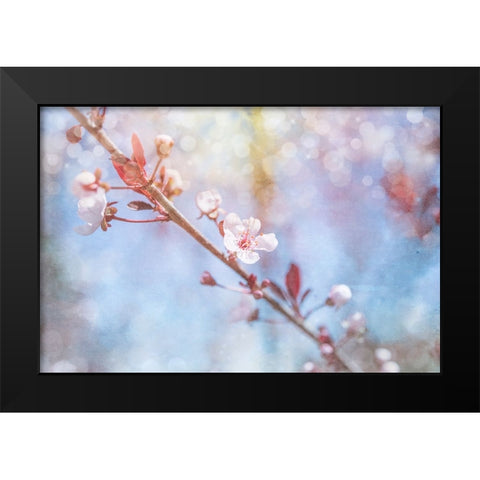 Spring Blooms 01 Black Modern Wood Framed Art Print by LightBoxJournal