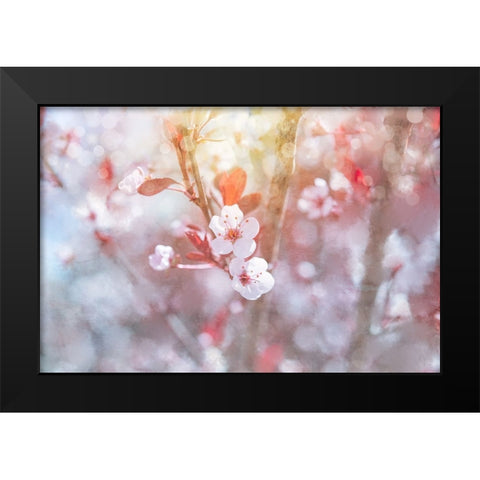 Spring Blooms 03 Black Modern Wood Framed Art Print by LightBoxJournal