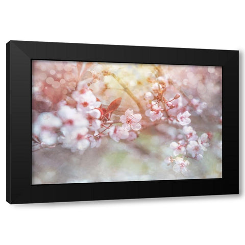 Spring Blooms 04 Black Modern Wood Framed Art Print by LightBoxJournal