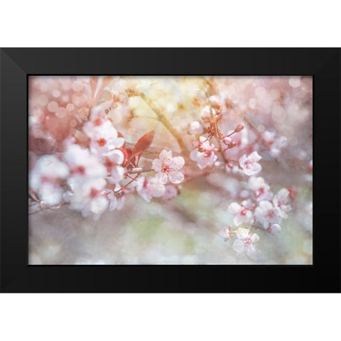 Spring Blooms 04 Black Modern Wood Framed Art Print by LightBoxJournal