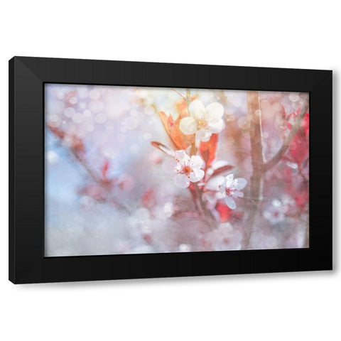 Spring Blooms 05 Black Modern Wood Framed Art Print by LightBoxJournal