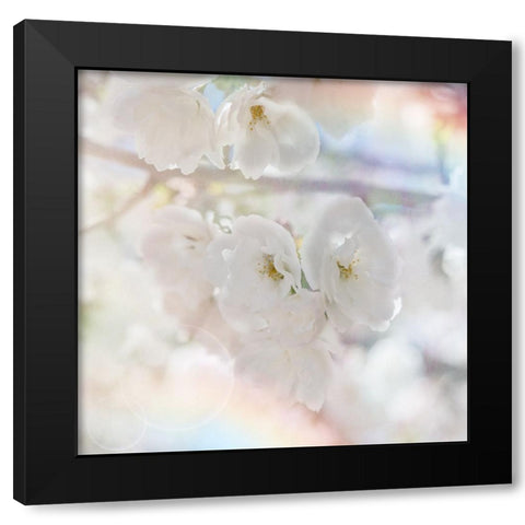 Apple Blossoms 01 Black Modern Wood Framed Art Print with Double Matting by LightBoxJournal
