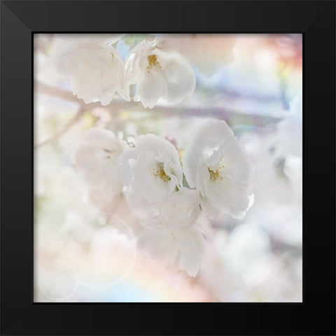 Apple Blossoms 01 Black Modern Wood Framed Art Print by LightBoxJournal