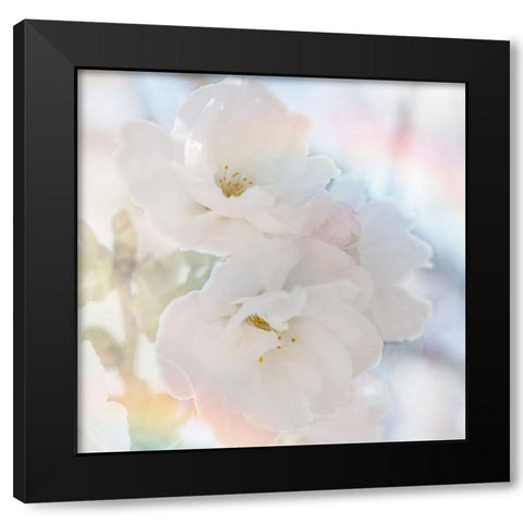 Apple Blossoms 02 Black Modern Wood Framed Art Print by LightBoxJournal