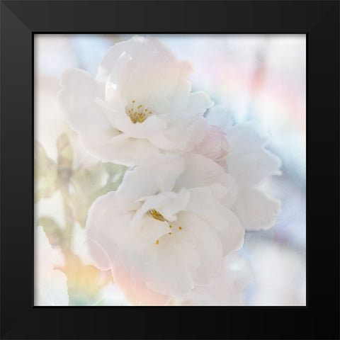 Apple Blossoms 02 Black Modern Wood Framed Art Print by LightBoxJournal