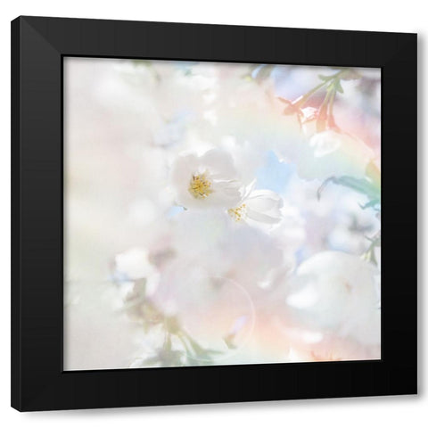 Apple Blossoms 03 Black Modern Wood Framed Art Print by LightBoxJournal