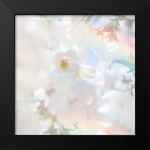 Apple Blossoms 03 Black Modern Wood Framed Art Print by LightBoxJournal